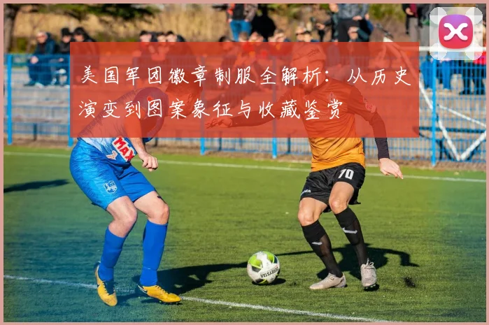 美国军团徽章制服全解析：从历史演变到图案象征与收藏鉴赏